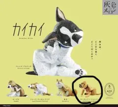 カイカイ ローデシアン・リッジバック ガチャガチャ　新品未使用　カプセルトイ　犬