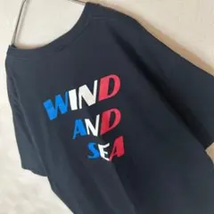 ウィンダンシー　ビームス別注　Tシャツ　ビッグロゴ　トリコロール　ゆるダボ　人気のサムネイル