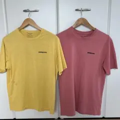 メ*ン様 patagonia Tシャツ 2枚セット M/S