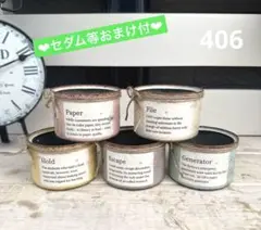 リメイク缶406☆多肉植物☆寄せ植え☆インテリア