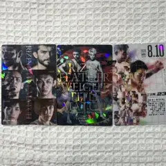 匿名配送⭐︎RIZIN ポテトスナック　カードまとめ売り　no.9/13/23