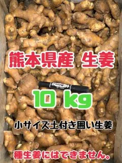小サイズ土付き囲い生姜 10kg - メルカリ