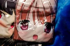 【訳アリ】抱き枕カバー系 まとめのサムネイル