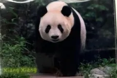 Item thumbnail for item 54bd60db-e39f-4467-b684-431ca424079a