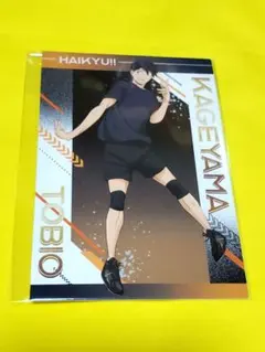 ハイキュー ユース・擬似ユース合宿 アニメイトフェア 特典ポスト