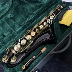 レアカラー! Kaerntner テナーサックス ブラック 管楽器 ケース付属 レアカラー! Kaerntner テナーサックス ブラック 管楽器 ケース