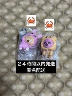 SKZOO つまんでつなげてますこっと vol.2★チャンビン　スンミン　③