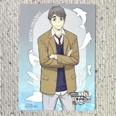 宮治 ポストカード ハイキュー シーパラ