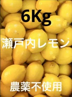 64国産瀬戸内レモン　農薬不使用　大きめ40〜45個 64国産瀬戸内レモン 農薬不使用 大きめ40〜45個 - メルカリ