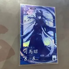 英傑大戦 ER司馬昭 エラーカード