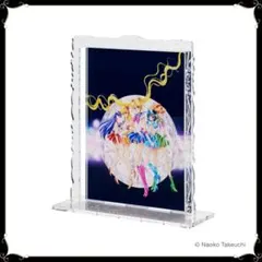 「D.Gray-man」28巻　懸賞当選品　非売品　アクリルアートボード D.Gray-man」28巻 懸賞当選品 非売品 アクリルアートボード - メルカリ