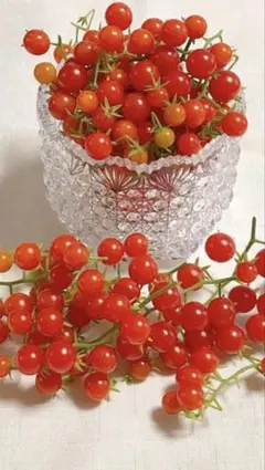 マイクロトマト種100粒以上