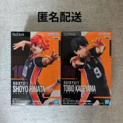 2025年最新】ポージングフィギュア 日向翔陽の人気アイテム - メルカリ