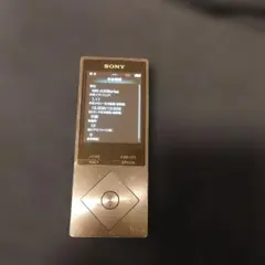 バッテリー良好】 ソニー ウォークマン NW-A25 16GB ライムイエロー