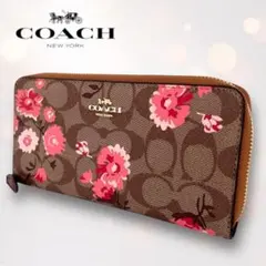極美品 COACH 長財布 シグネチャー フラワー 花柄 ラウンドファスナー
