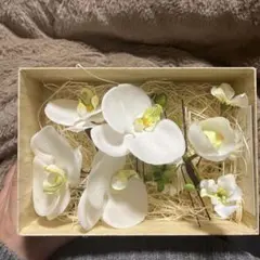 Item thumbnail for item 0282706d-2e74-4ce2-acc4-8975a1ef74b2