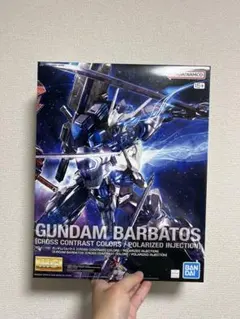 MG 1/100ガンダムアストレイ レッドフレーム改クロスコントラスト