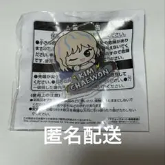 だ*い様 ルセラフィム チェウォン おなまえアクリルバッジ ちびぐるみポーズ！