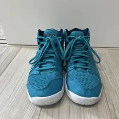 アシックスダンクショット　バスケットシューズ　25.0㎝