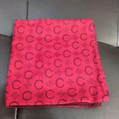 Item thumbnail for item 4565f227-95cd-4ac4-a8dc-01b81d8b7b24