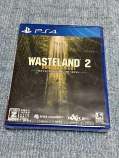【PS4】WASTELAND2 DIRECTOR'S CUT ウェイストランド2