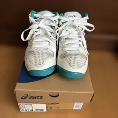 Item thumbnail for item 6a8ca892-7b1b-43dd-b31e-3137c2ac872c