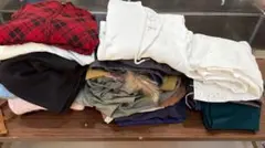 【まとめ売り】レディースMカジュアル衣類73着セット