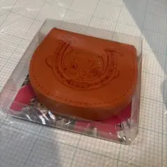 未使用 パスケース ジョルノ・ジョバァーナ 黄金のレザーコレクション
