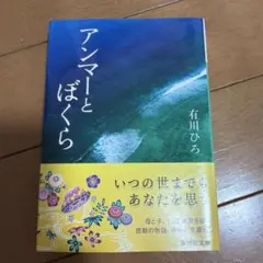 アンマーとぼくら