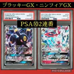 2025年最新】ブラッキー psa10 連番の人気アイテム - メルカリ