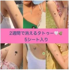 Item thumbnail for item 863f66c9-f7fc-4e24-a6a4-759cb00604da