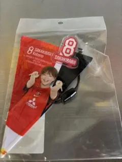 浦和レッズレディース 藤崎智子 プレイヤーズカード - メルカリ