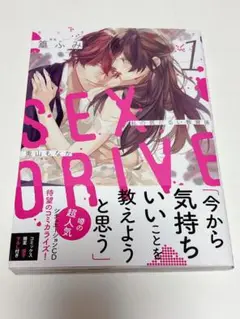 SEX DRIVE 私の気だるい教育係 1