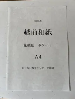 2025年最新】越前和紙 a4の人気アイテム - メルカリ