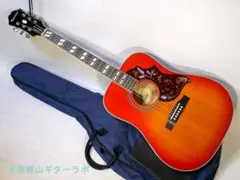 牛骨】 Epiphone！ハミングバードアーティスト青【弾き易く調整☆新品