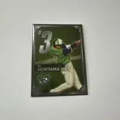 東京ヤクルトスワローズ 燕プロ グルメカード 内山壮真 - メルカリ