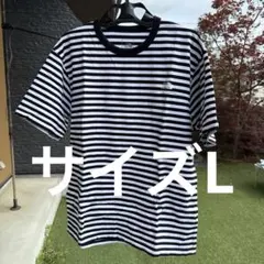 THE NORTH FACE ボーダー Tシャツ　L