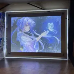 LEDライトパネルセット Summer Pockets 空門蒼