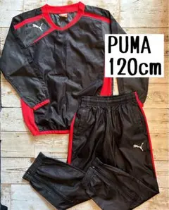 PUMA プーマ　サッカー　ピステ上下 セットアップ　120cm 黒/赤