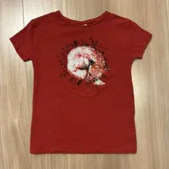 Zara Girls Tシャツ サイズ7のサムネイル