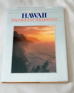 2025年最新】レコード ハワイの人気アイテム - メルカリ