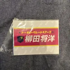 2025年最新】柳田将洋 グレベアの人気アイテム - メルカリ