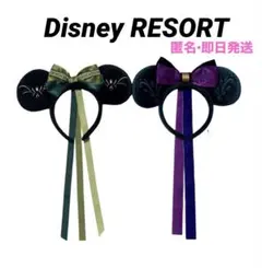 美品　ディズニーリゾート　アナ雪　エルサ　アナ　戴冠式　カチューシャセット　即日