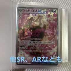 キチキギスSAR、他ミミッキュARなど