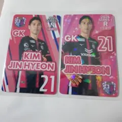 Item thumbnail for item 793545fd-add2-47ed-b656-0557e48f5405