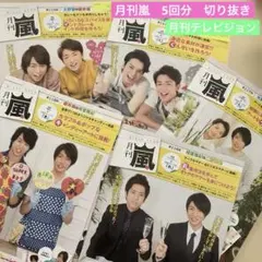 月刊テレビジョン　連載　月刊嵐　114回〜118回　5回分　20p 嵐　切り抜き