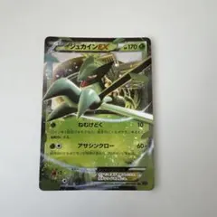 2026年最新】MジュカインEX srの人気アイテム - メルカリ
