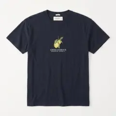 【美品】アバクロンビー&フィッチ レモン グラフィック Tシャツ 黒 Mのサムネイル