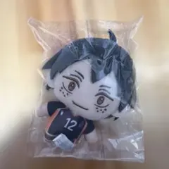 ハイキュー 山口忠 セガラッキーくじ