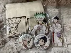 Dr.STONE DVD アニメイト限定特典 石神千空 あさぎりゲン - メルカリ